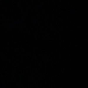 Meet your Posher, Ava